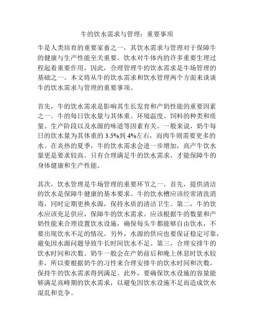牛的饮水需求与管理：重要事项