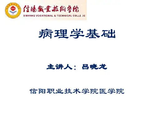 病理学基础--3炎症