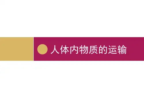 人体内物质的运输 ppt课件.ppt