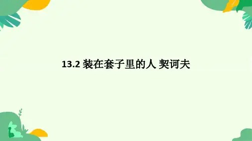 13.2《装在套子里的人》课件+2023-2024学年统编版高中语文必修下册