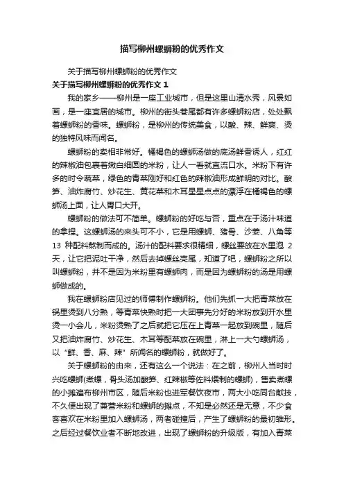 关于描写柳州螺蛳粉的优秀作文