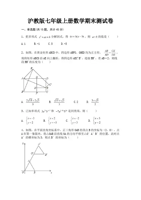 (全优)沪教版七年级上册数学期末测试卷