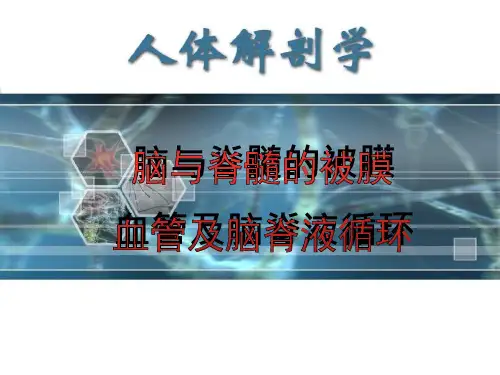 脑与脊髓的被膜、血管及脑脊液ppt课件