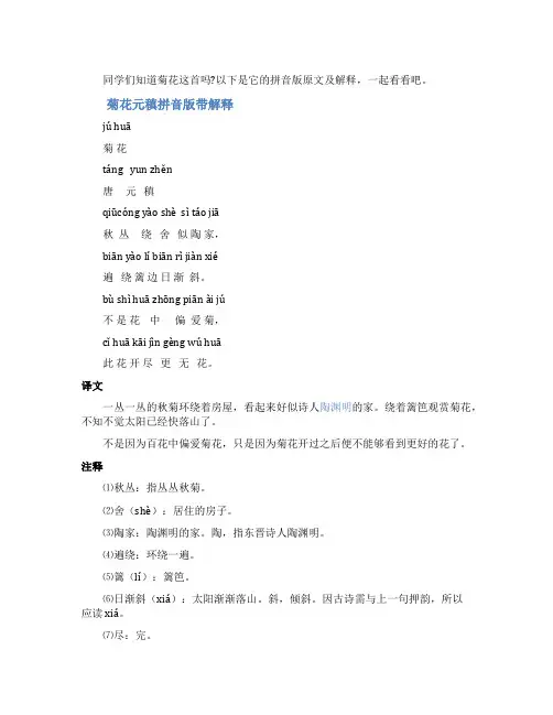 菊花元稹拼音版带解释