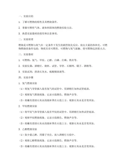 可燃性实验报告