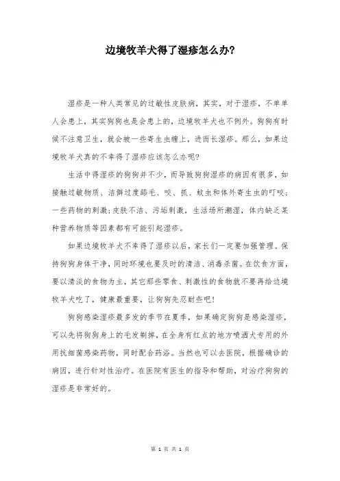 边境牧羊犬得了湿疹怎么办-