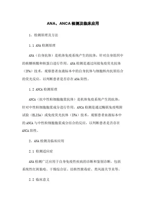 ANA、ANCA检测及临床应用