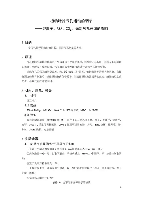 植物叶片气孔运动的调节