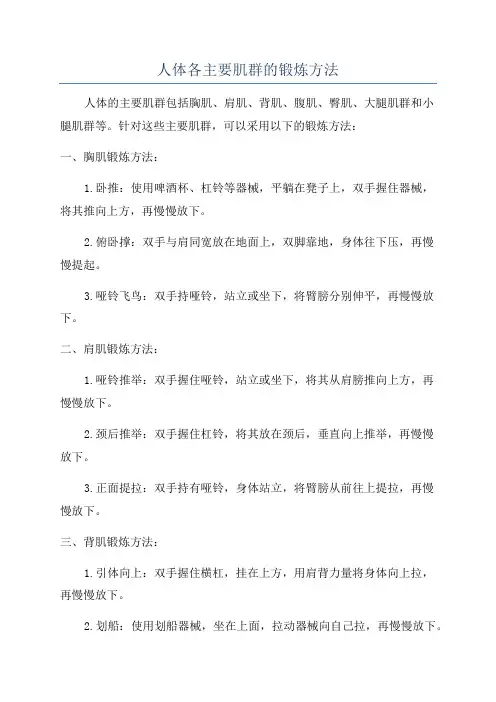 人体各主要肌群的锻炼方法