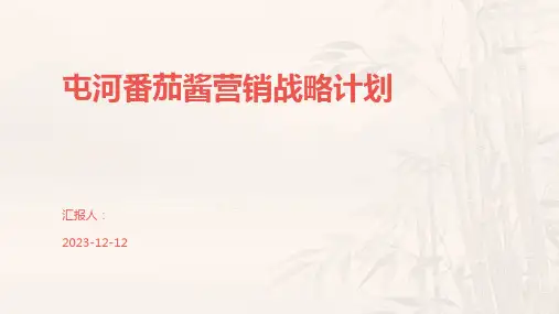 屯河番茄酱营销战略计划
