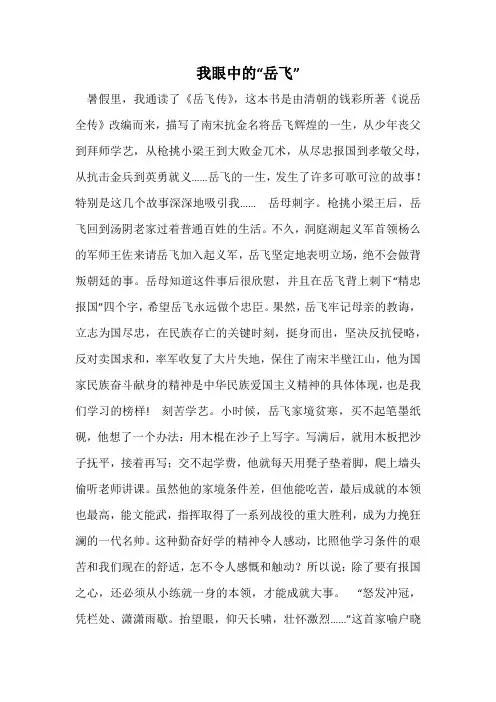 我眼中的“岳飞”