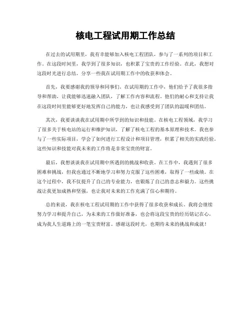 核电工程试用期工作总结