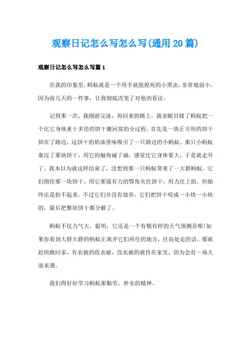 观察日记怎么写怎么写(通用20篇)