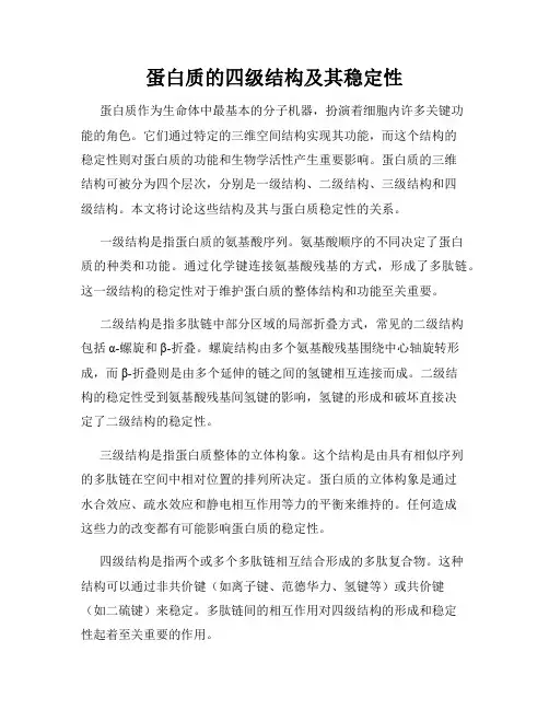蛋白质的四级结构及其稳定性