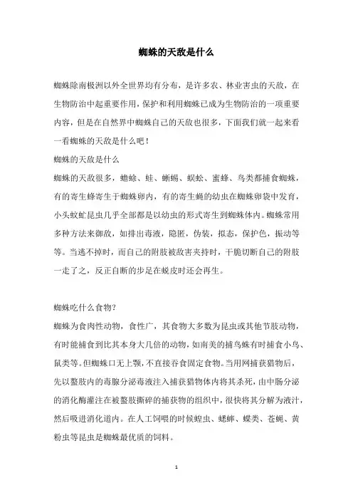 蜘蛛的天敌是什么