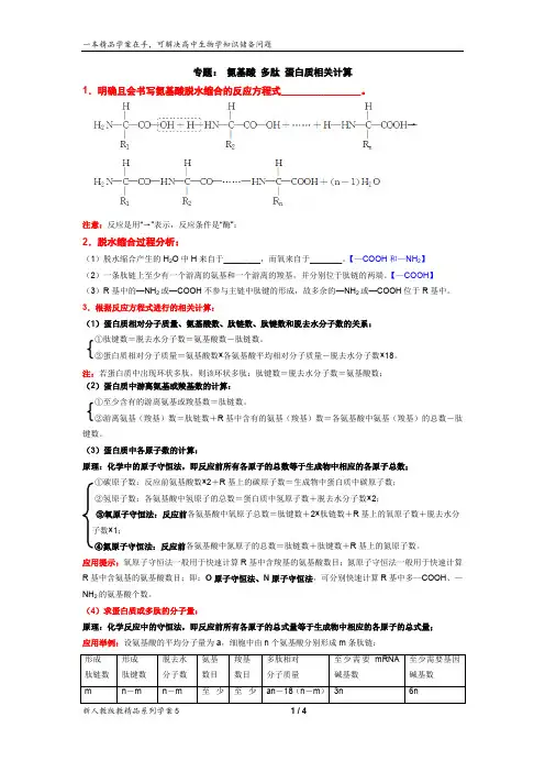 高中生物学必修一专题：氨基酸、多肽、蛋白质的相关计算
