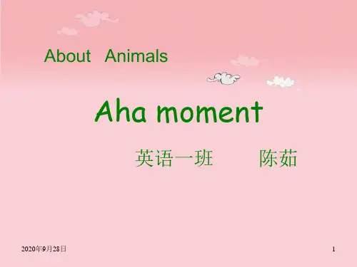 关于动物的英语俚语全解PPT课件
