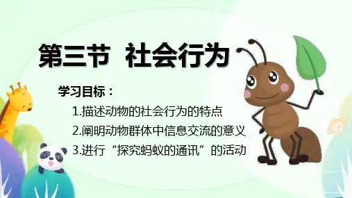 社会行为ppt课件