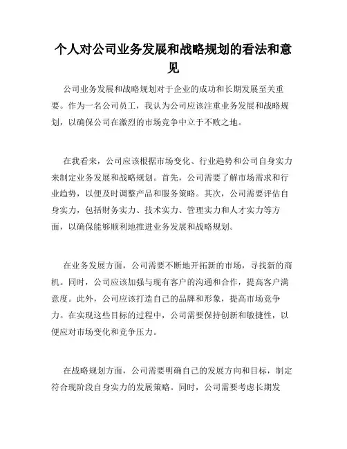 个人对公司业务发展和战略规划的看法和意见
