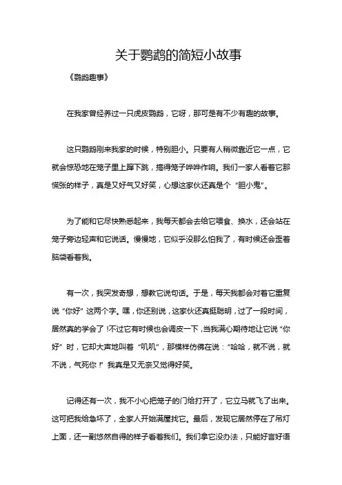 关于鹦鹉的简短小故事