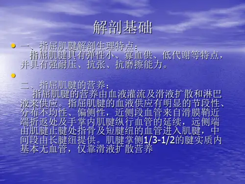 肌腱的损伤与修复