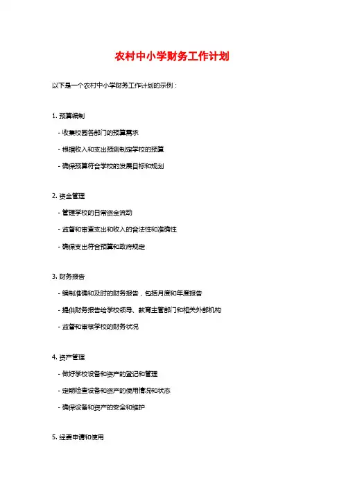 农村中小学财务工作计划