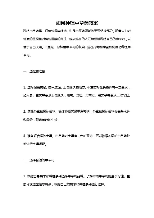 如何种植中草药教案