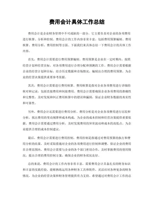 费用会计具体工作总结