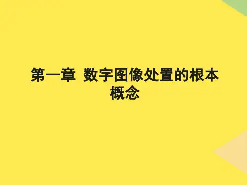 数字图像处理的基本概念(2)2022优秀文档