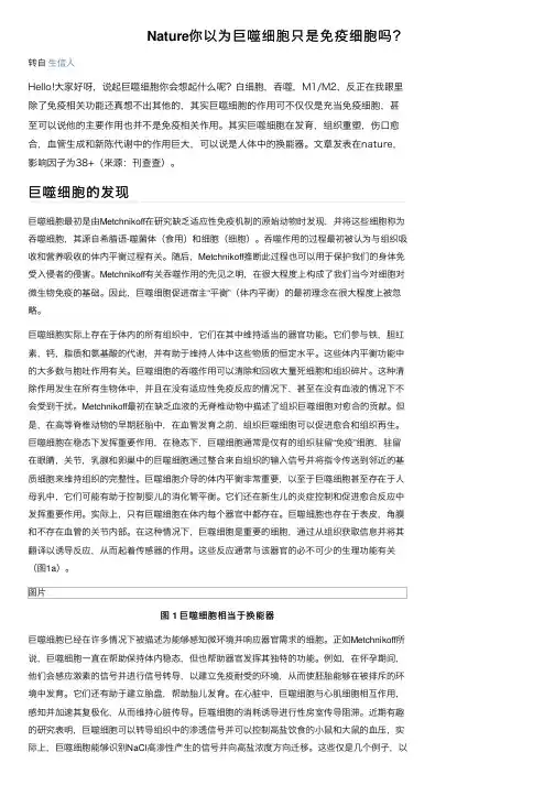 Nature你以为巨噬细胞只是免疫细胞吗？