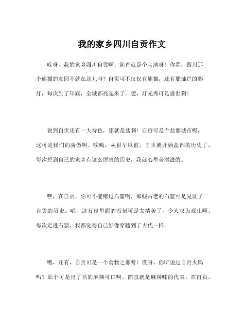 我的家乡四川自贡作文