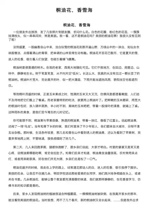 桐油花，香雪海