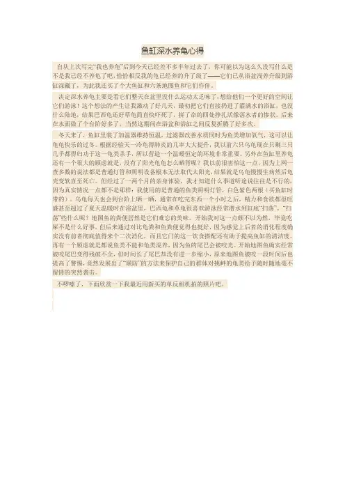 养龟心得