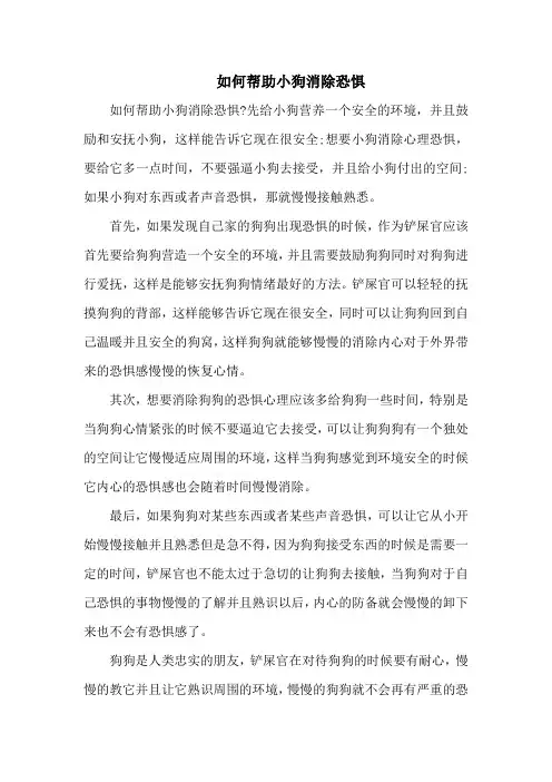 如何帮助小狗消除恐惧