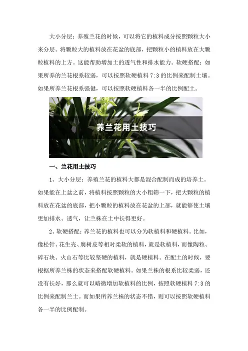 养兰花用土技巧,泥炭土怎么养兰花