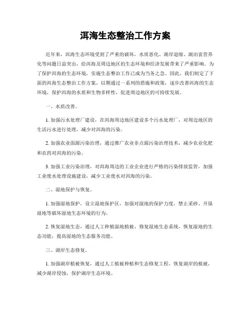 洱海生态整治工作方案