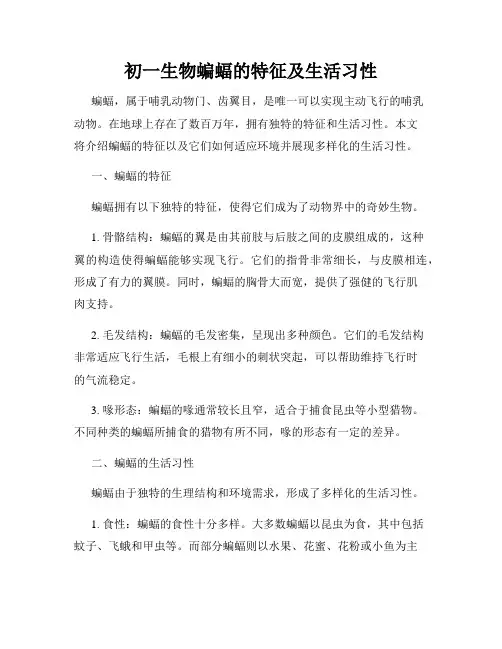 初一生物蝙蝠的特征及生活习性
