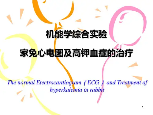 高钾血症综合实验PPT课件