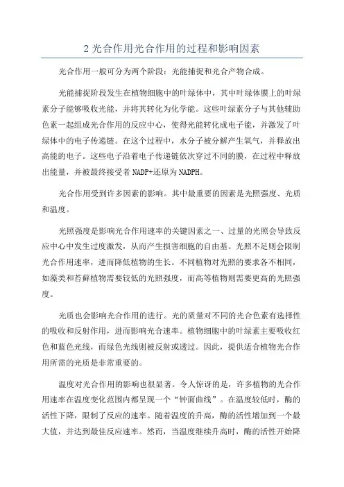 2光合作用光合作用的过程和影响因素