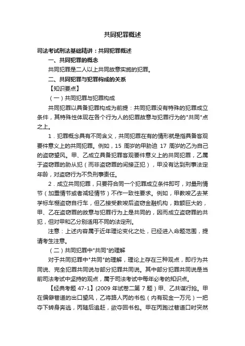 共同犯罪概述