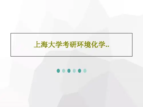 上海大学考研环境化学..60页文档