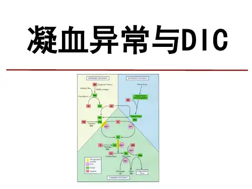 【源版】凝血异常与DIC
