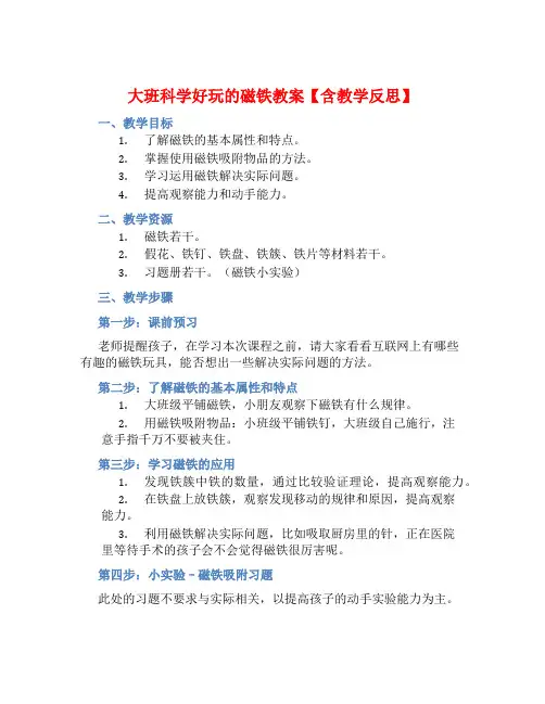 大班科学好玩的磁铁教案【含教学反思】 (2)
