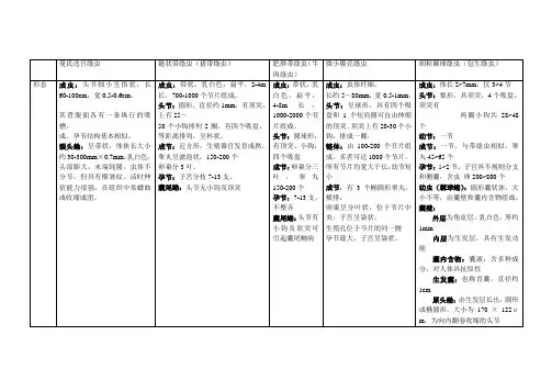 人体寄生虫总结——绦虫总结