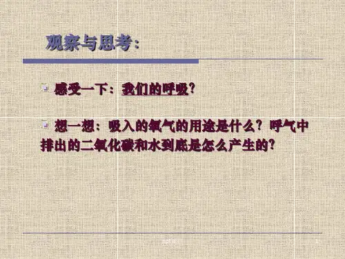 高中生物必修一,人教版 5.3 细胞呼吸-有氧呼吸ppt课件