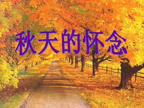 《秋天的怀念》PPT课件4 (共26张PPT)