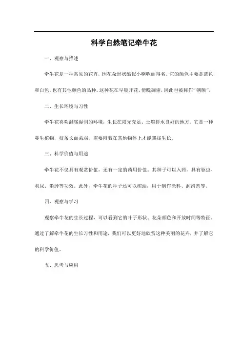 科学自然笔记牵牛花