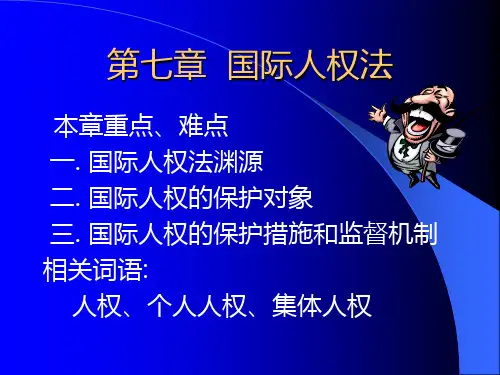 第七章 国际人权法