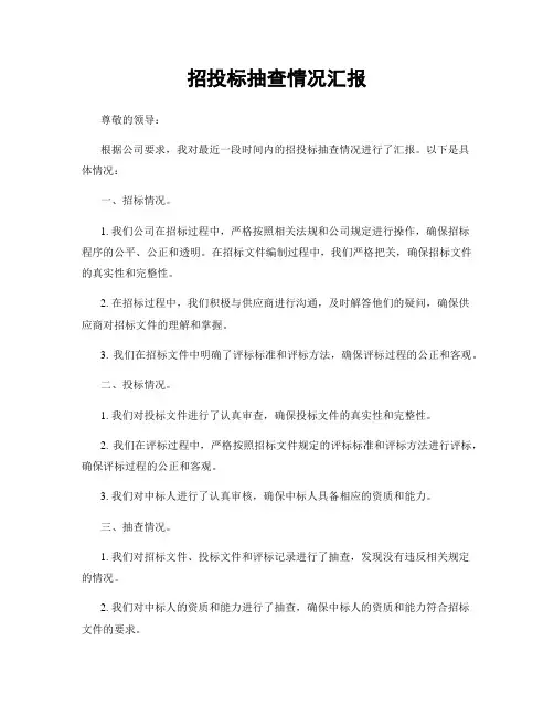 招投标抽查情况汇报