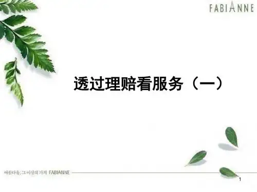 透过理赔看服务ppt课件